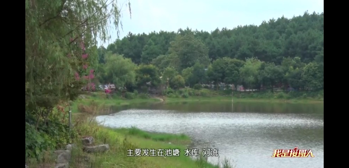 Screenshot_20210717_175155_com.tencent.mm.jpg