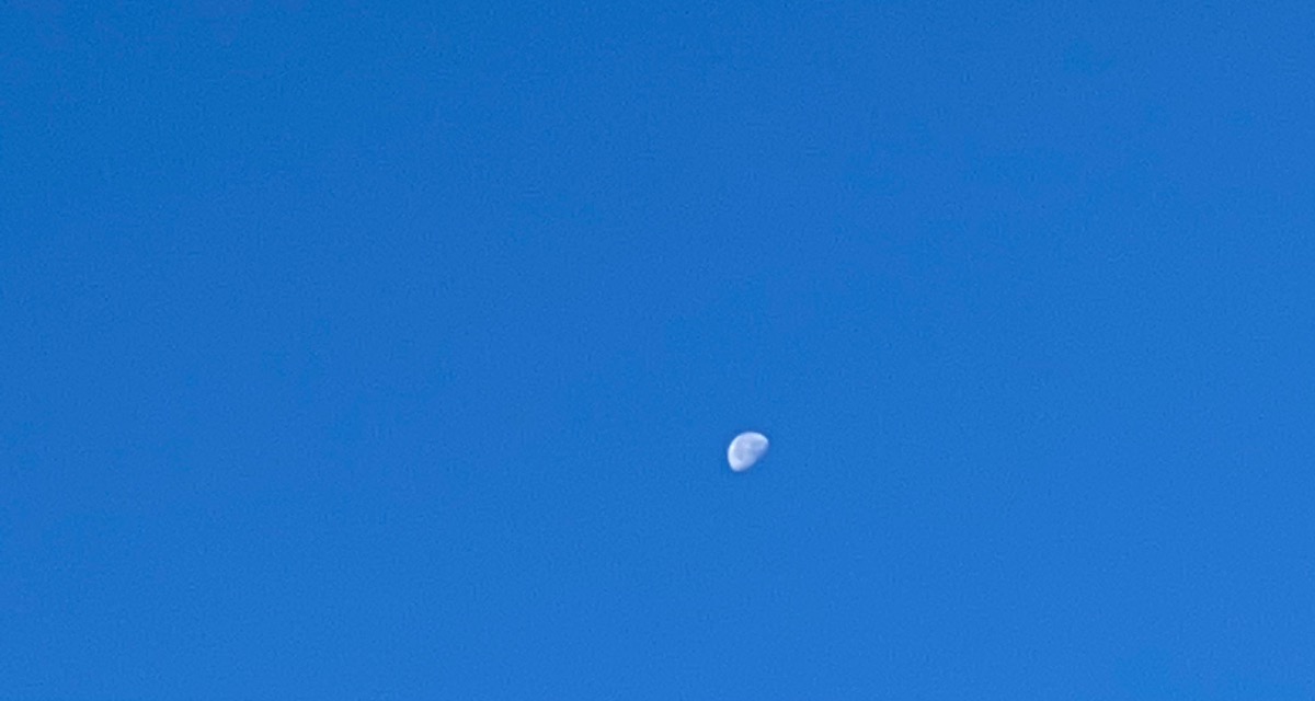 524D126F-D4E6-4009-B97E-8719C0837FF8.jpeg