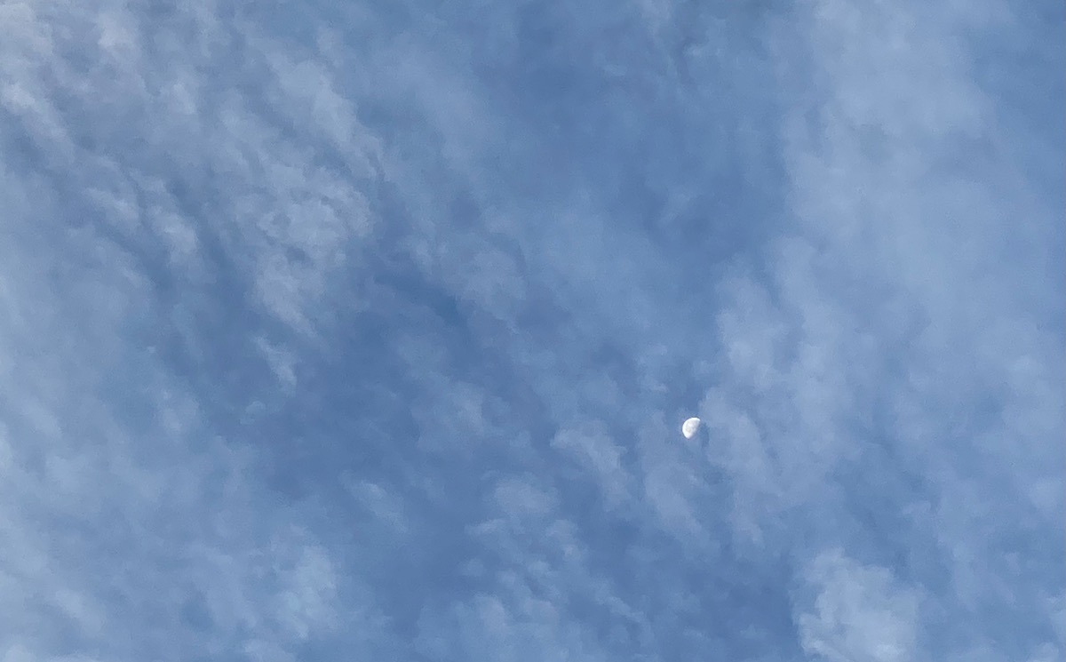 5A3220A9-05ED-473C-AB8C-32E67CA29406.jpeg