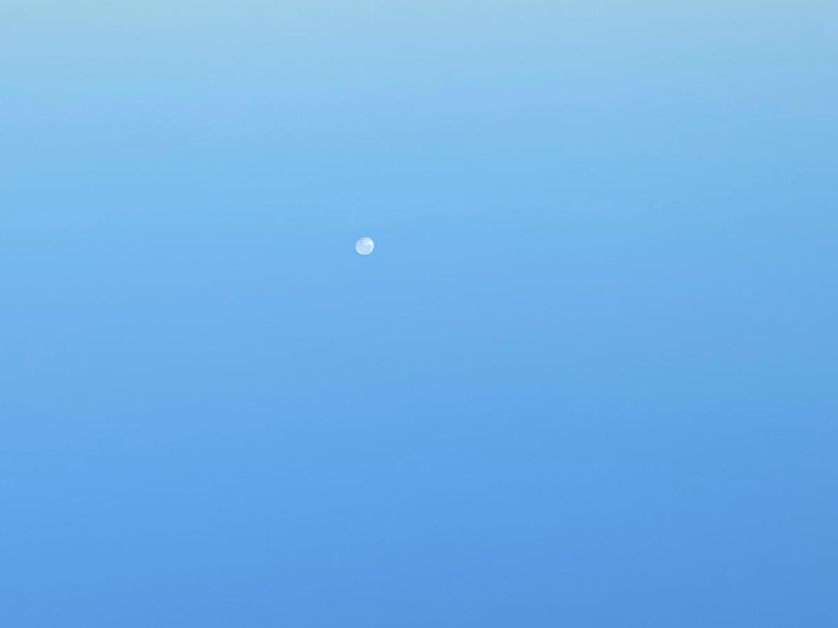 DB45ABEA-EA94-41C8-8011-76127757740E.jpeg