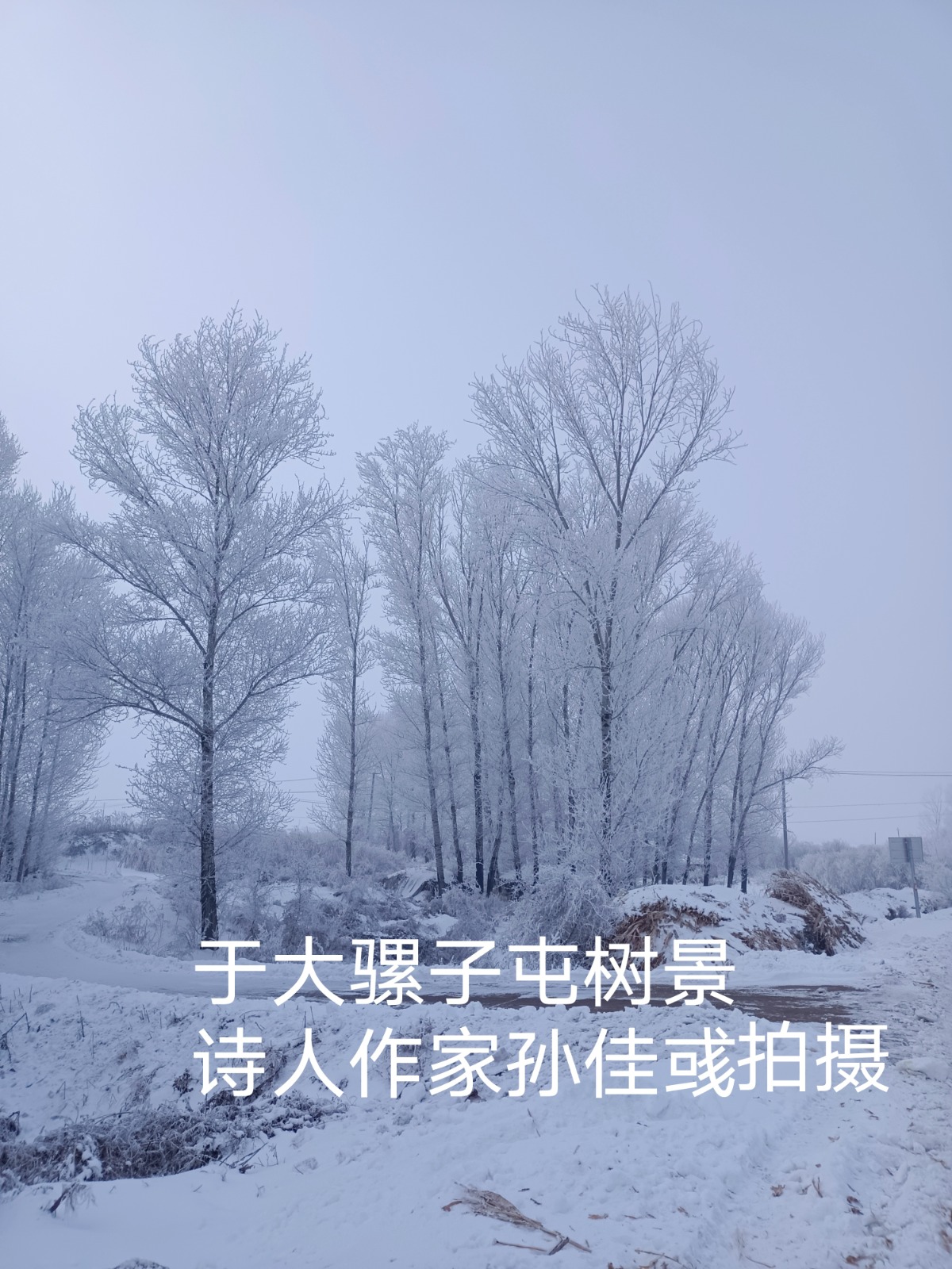 IMG_20211116_162641.jpg