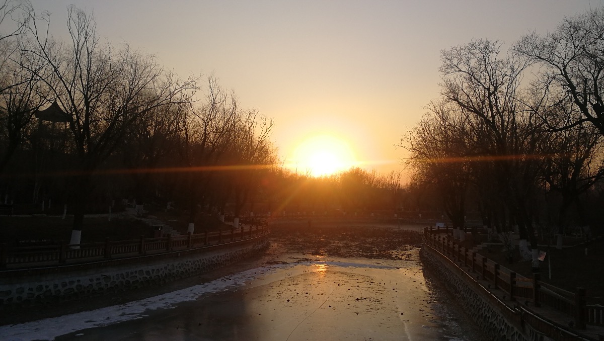 D3445DC2-BCF4-44E6-B650-FB39C3BF59CC.jpeg