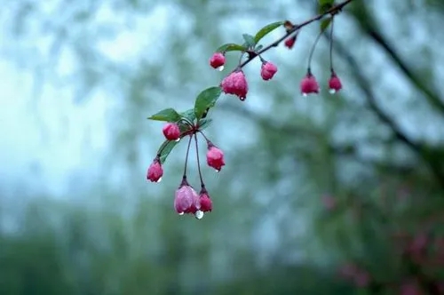 u=1393659138,3268542470&amp;fm=253&amp;fmt=auto&amp;app=138&amp;f=JPEG.webp.jpg