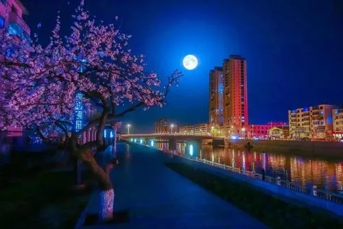 u=1995230129,2608282321&amp;fm=253&amp;fmt=auto&amp;app=138&amp;f=JPEG.webp.jpg