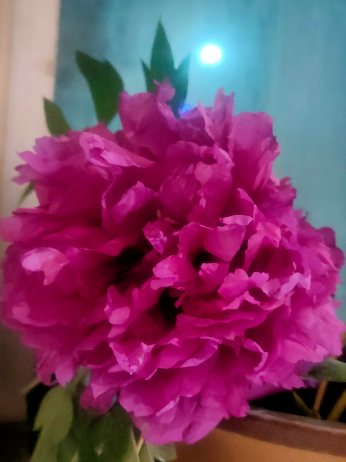 IMG20220509221738.jpg
