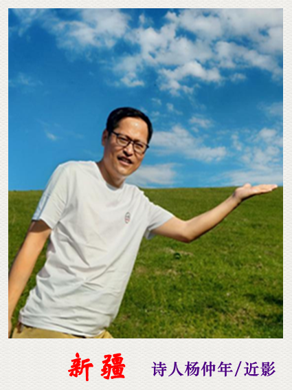 诗人杨仲年.png