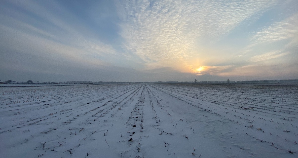7AD44255-980D-4EC9-9A81-FD1987835F41.jpeg