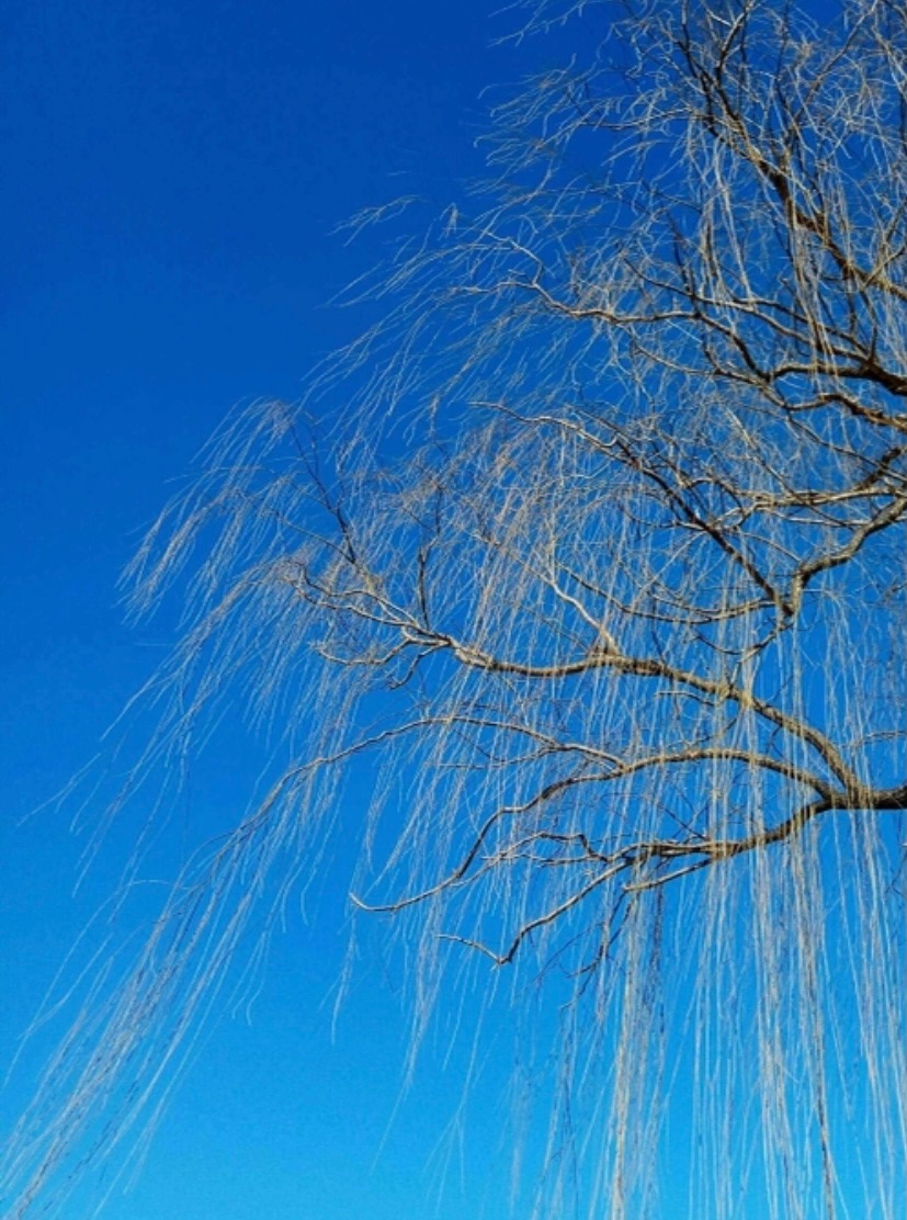 0E16FC5A-B270-4D0F-84B7-2146FD0FDF06.jpeg