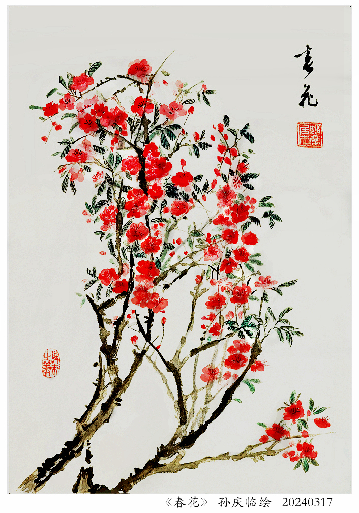 240401-春花.jpg