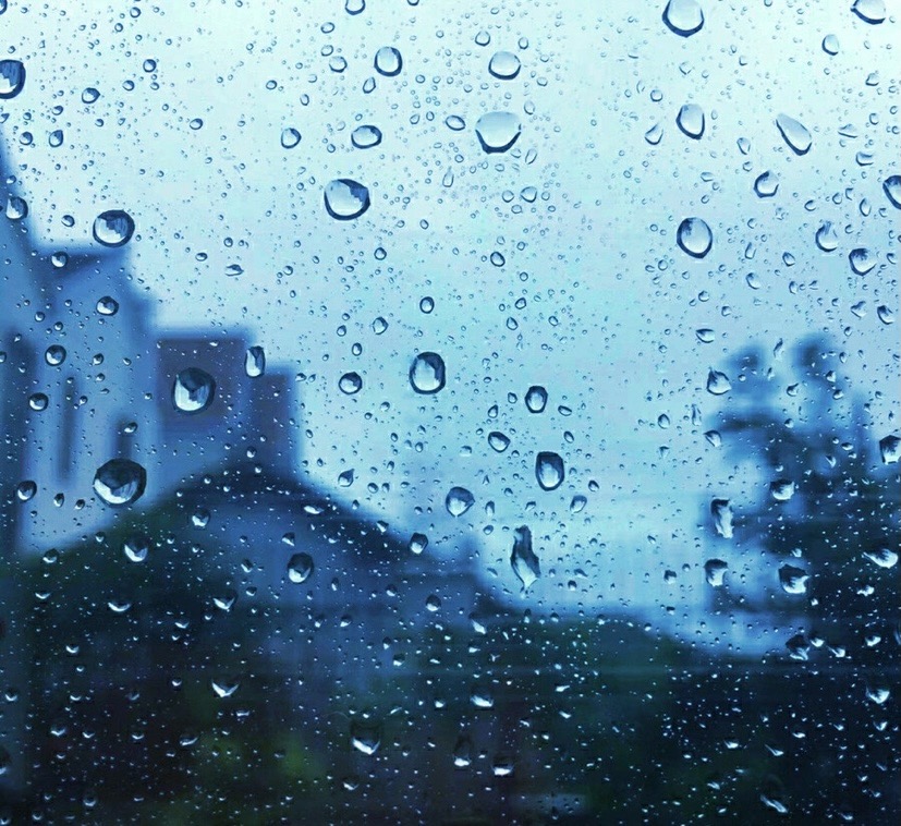 F150264F-6C82-495B-84BF-076A592C79B0.jpeg