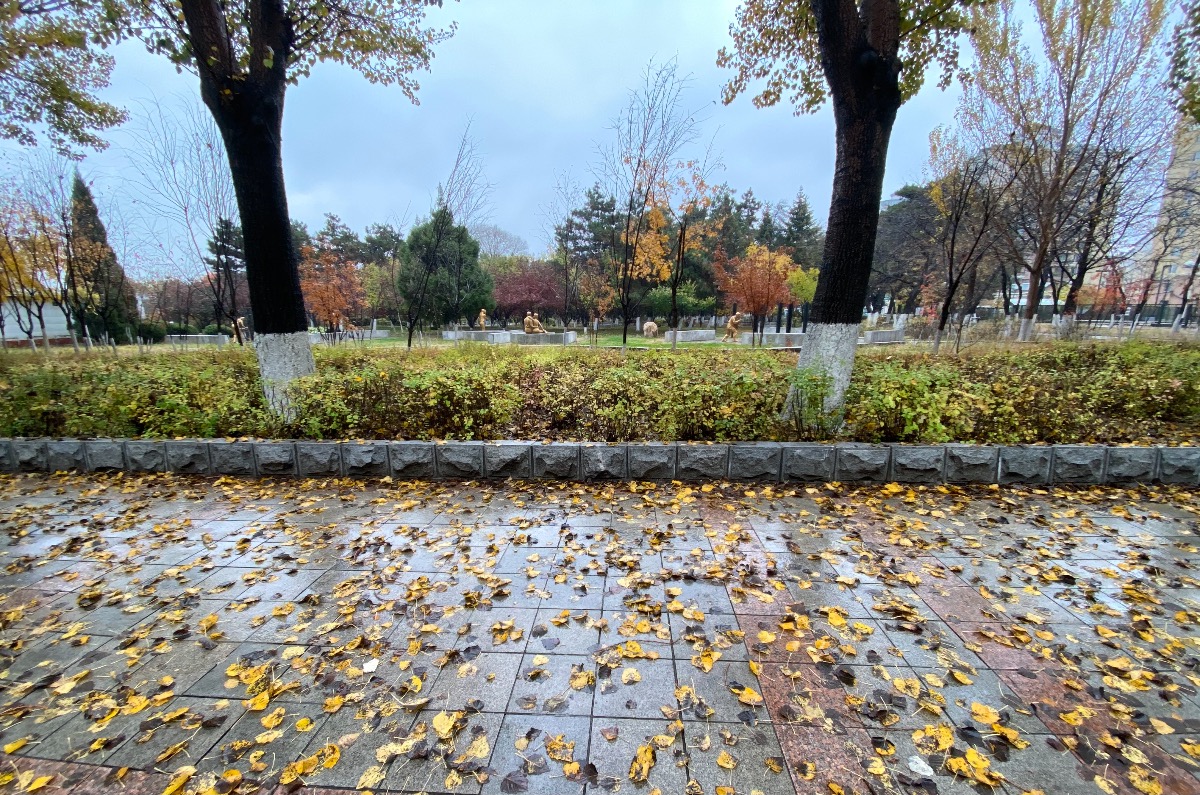 C730B073-E71E-4D19-8543-06DA057D748B.jpeg