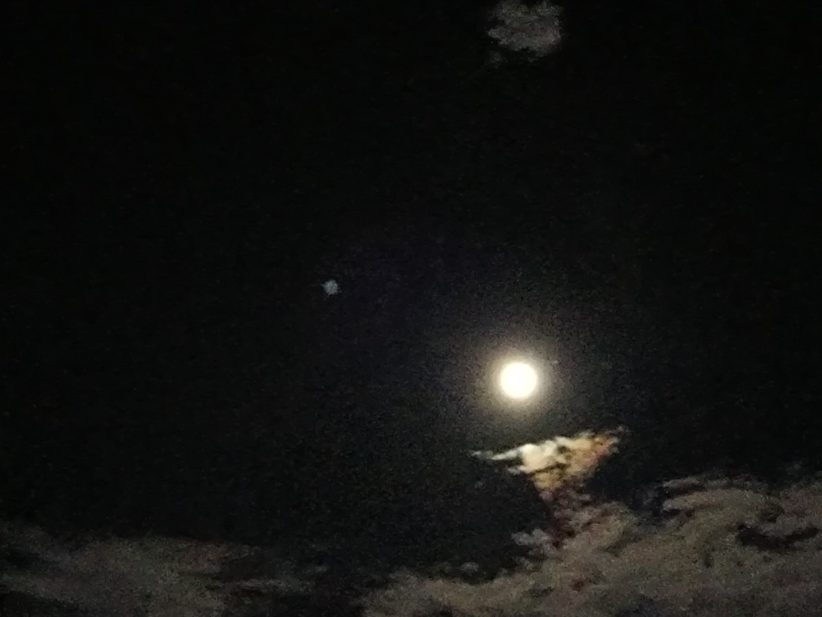 625F5131-CA80-4350-94DC-974091512E8C.jpeg