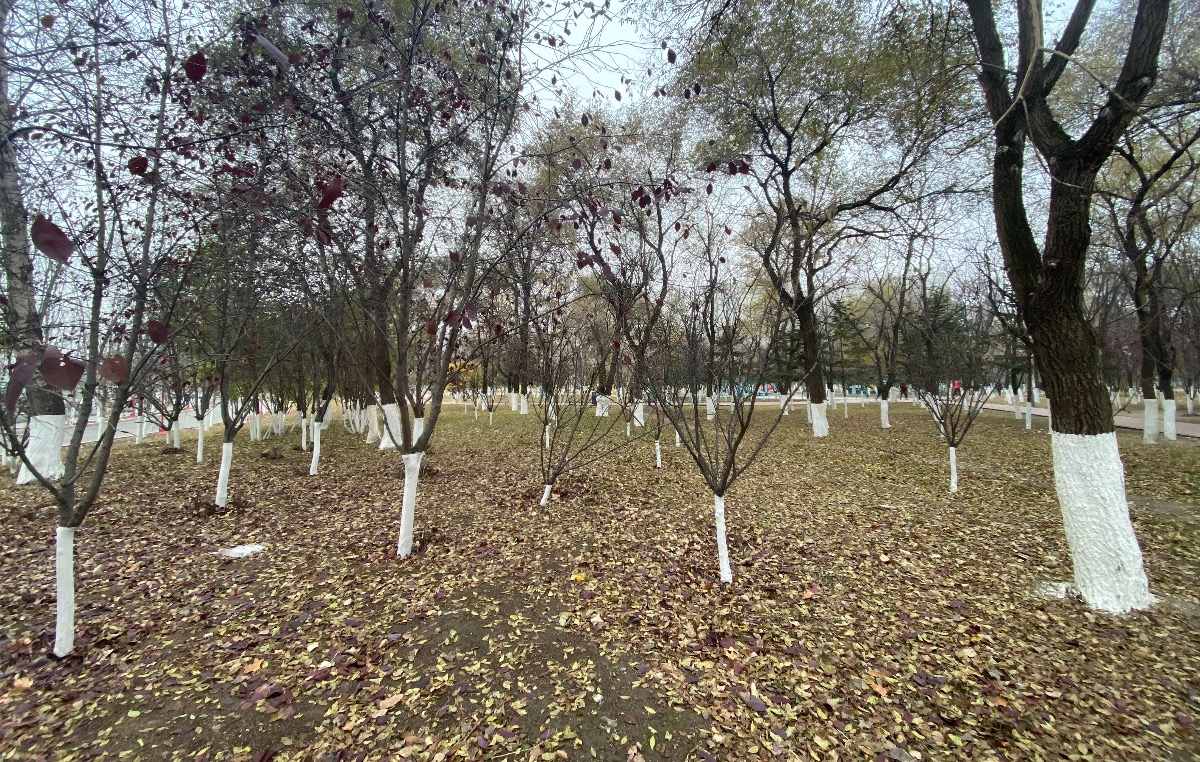 F5A28ADA-01C6-4711-AEB0-8301230B9C06.jpeg