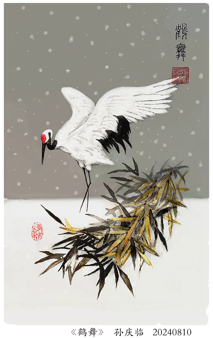 250127-鹤舞.jpg