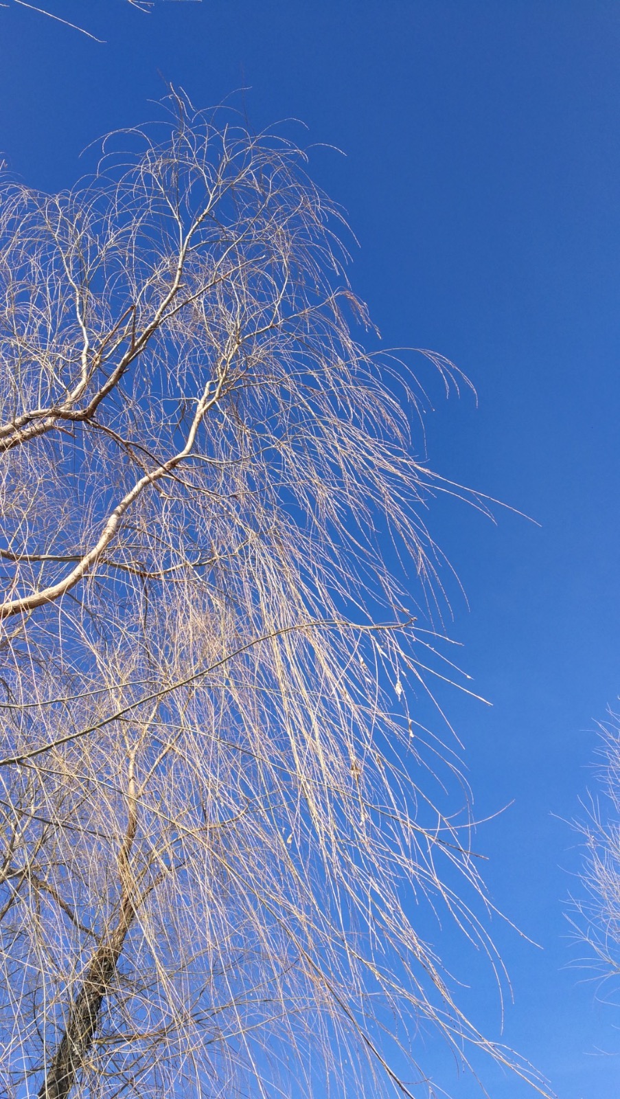 A1B15019-C4D6-40EB-8A61-8953F93557B8.jpeg
