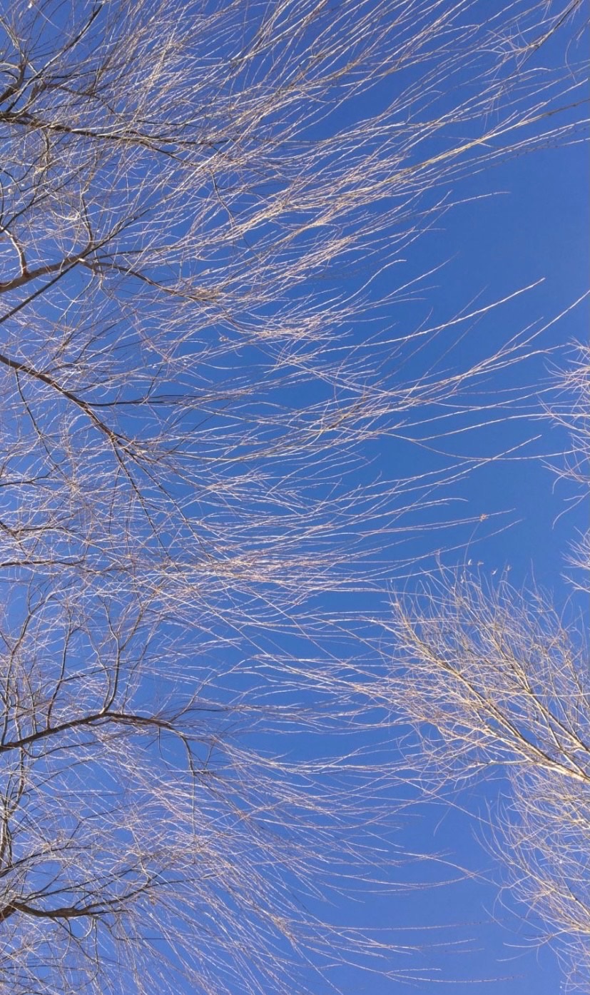 F8112E62-CEDD-497B-9D50-2E50F23BD26E.jpeg
