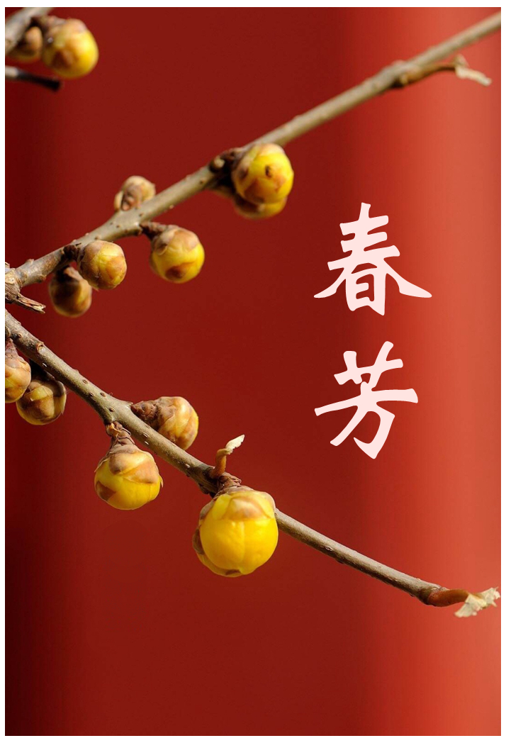 250301-春芳.jpg