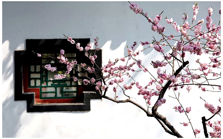 250312-思乡.jpg