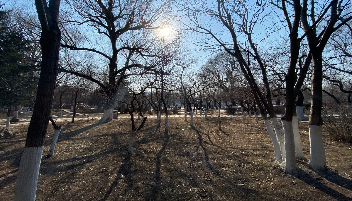 2767A677-D629-4A4A-9171-FD9C23AC0435.jpeg