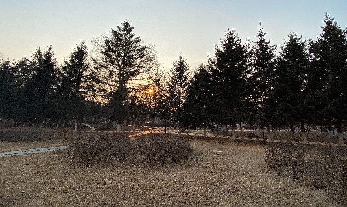 AB3780AE-2EB4-4DDF-BB8D-67E7DAA33BA3.jpeg