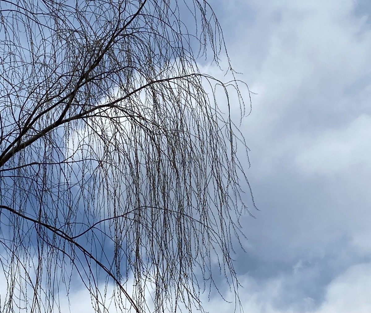 25BA32CB-E81E-4318-B959-47FFC5416852.jpeg