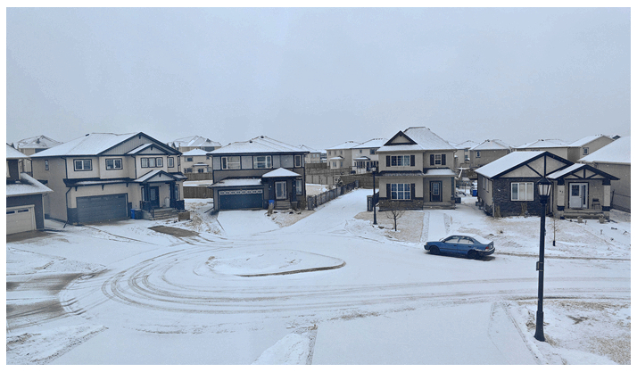 250402-春雪3.jpg