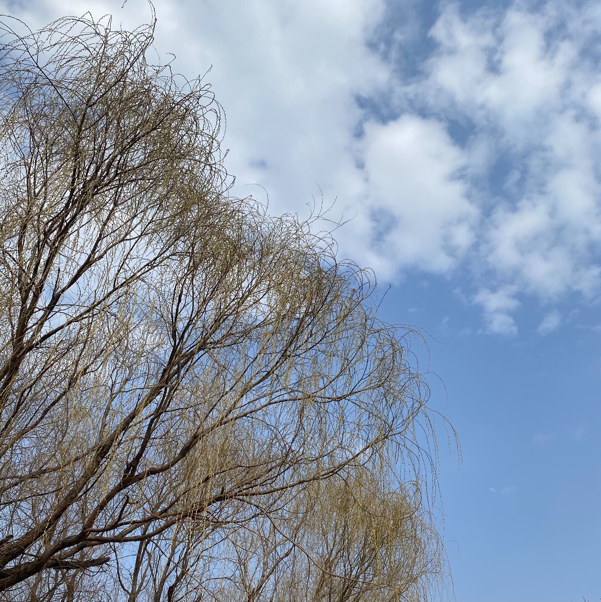 0A89489D-BADE-4F8A-98AC-4E33BC13DB1F.jpeg
