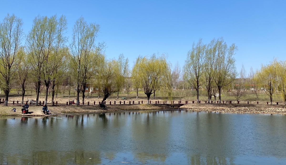 17226D70-6F91-4856-A277-CCC349BB1B12.jpeg