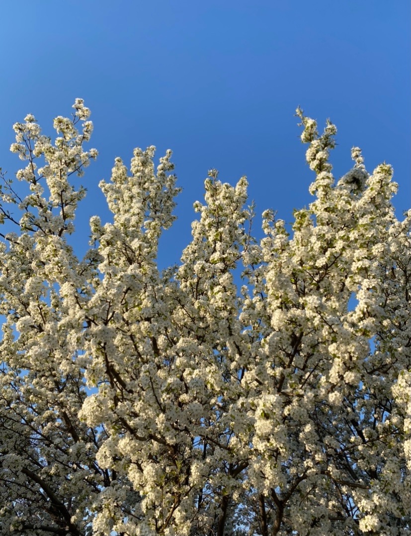 5E638008-83AF-4D2D-926C-5F9735B37000.jpeg