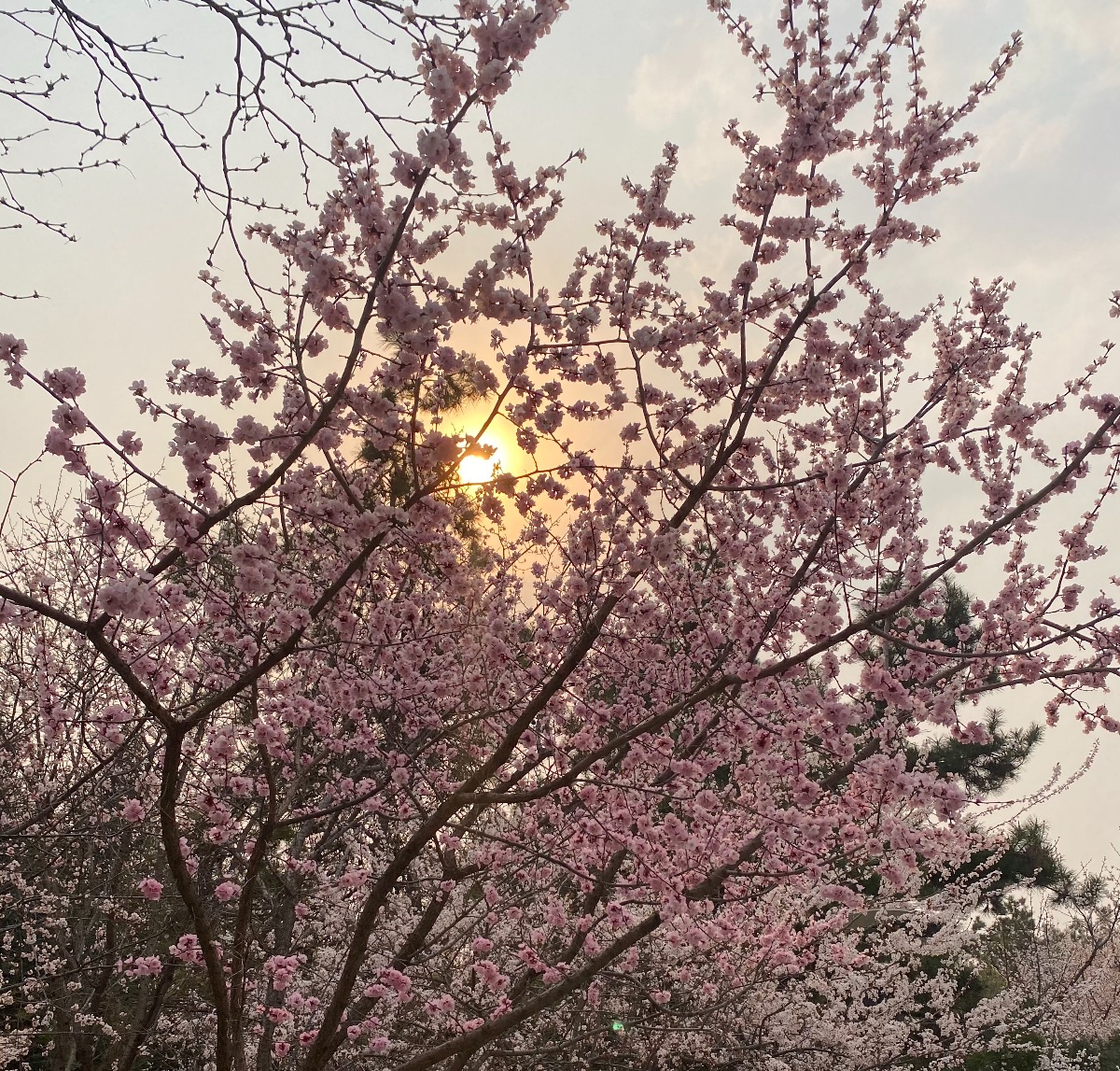 F266B799-AE0F-4326-9B00-B7570F55F59E.jpeg