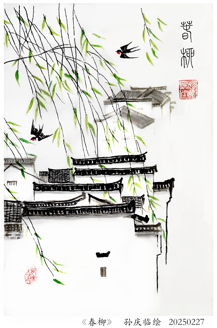 250430-春柳.jpg