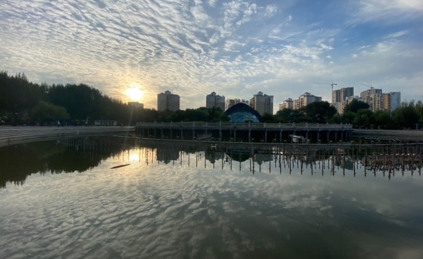 E1BFCEDB-FE50-4188-A255-DDFBEA706619.jpeg