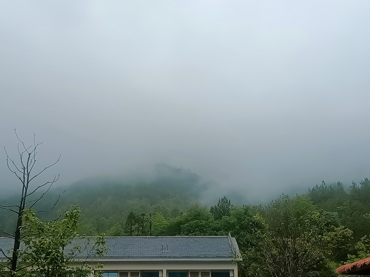IMG20250601095516.jpg