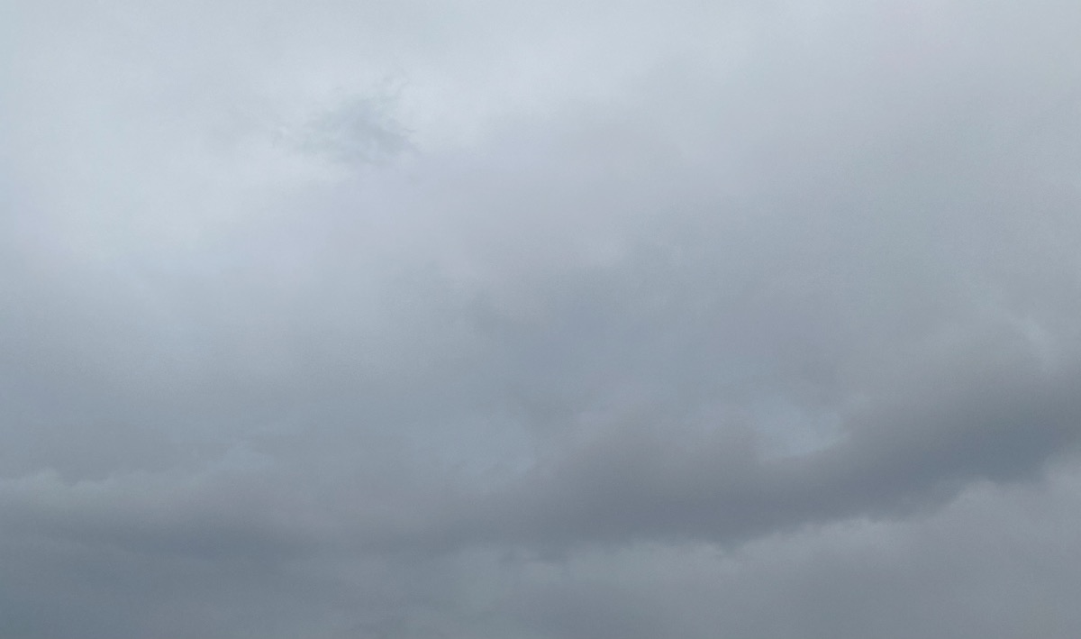 B67BE536-802D-4FA8-AB1F-0115F6E8DFD7.jpeg