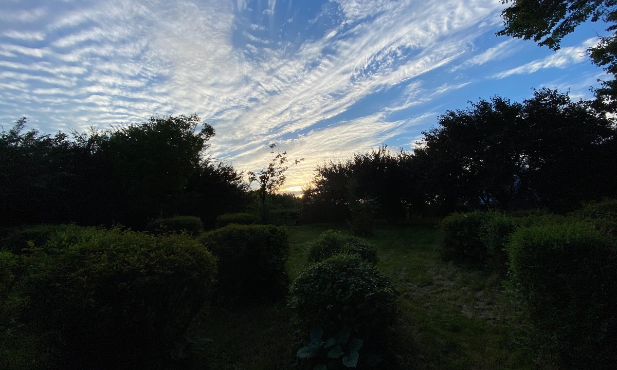 346A0417-38CD-4FC9-86D6-F3A5C4E3FD02.jpeg
