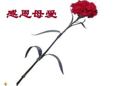 143522sgnqpl7p797knxbg.jpg