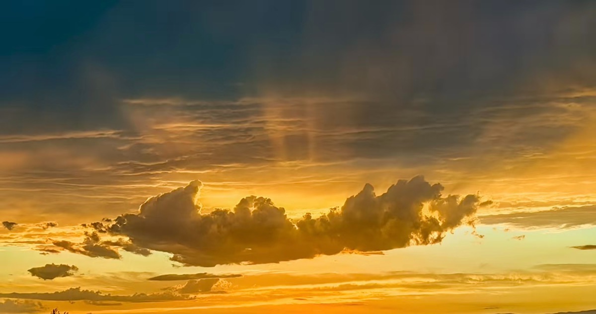 0FD0A621-9864-4071-80D3-673B03577D80.jpeg