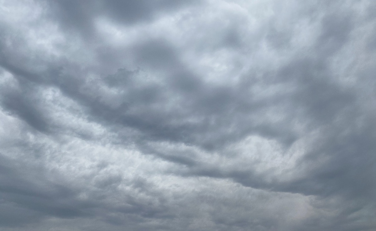 BD415923-5AC9-4F93-9644-D9704A81E1C1.jpeg