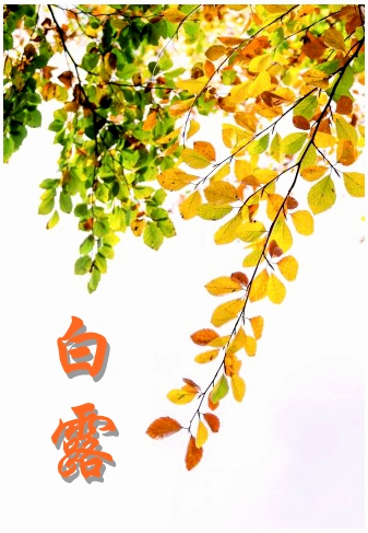 250907-白露.jpg