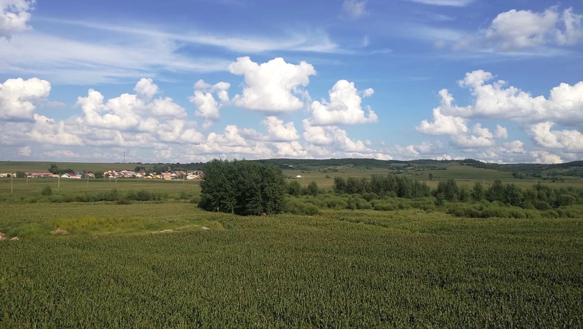 4250A05A-9922-4003-B492-A42279C15382.jpeg