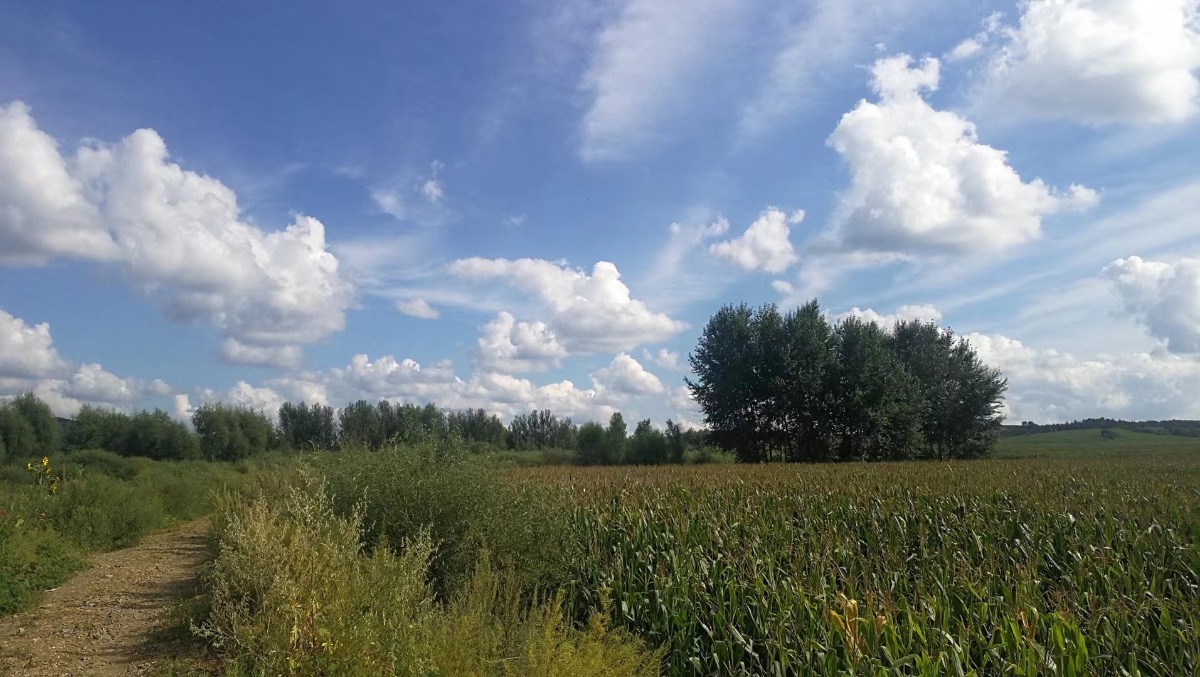1AB794EF-9DBF-4A2F-BE1C-B4D8C45A6144.jpeg