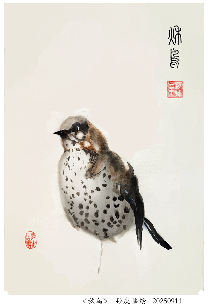250915-秋鸟.jpg