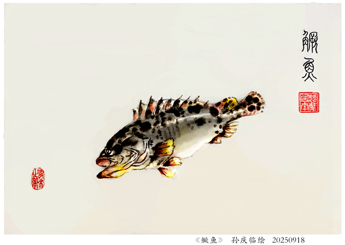 251003-鳜鱼.jpg