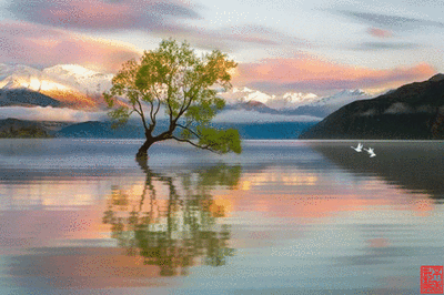 t01b687b29870998710.gif