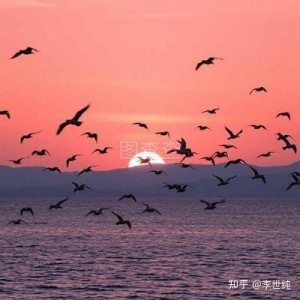 194916u3dnbphhuyh05v07 (2).jpg