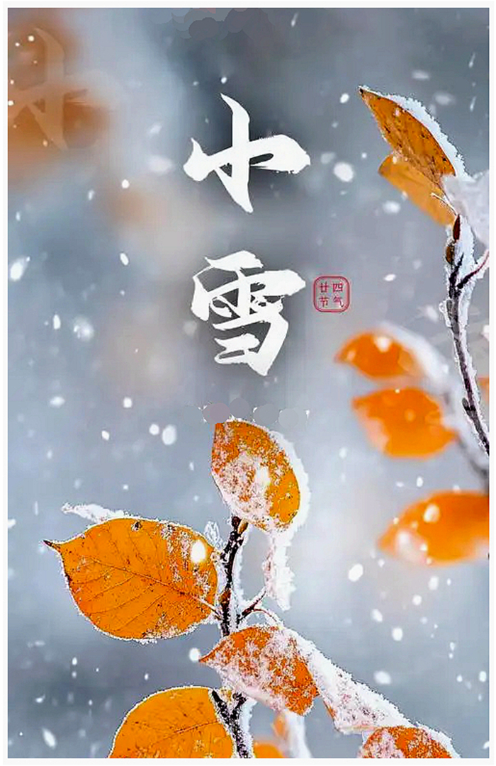 251122-小雪.jpg