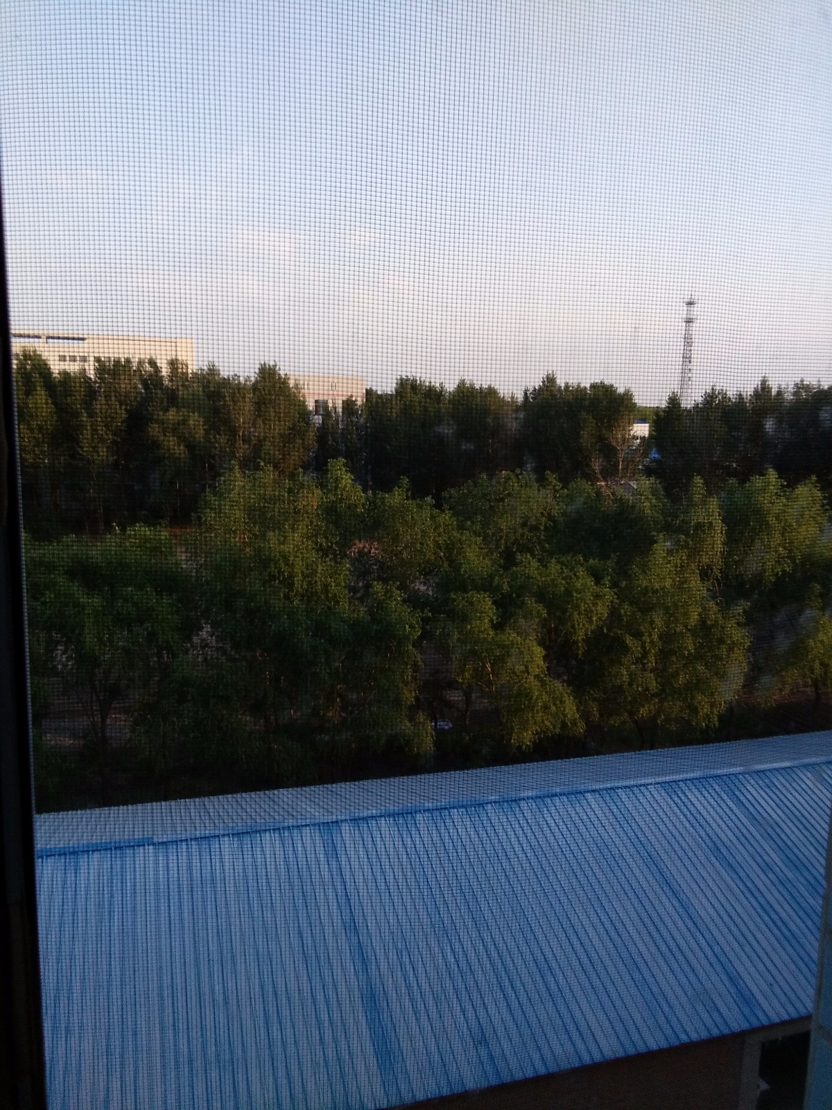 IMG_20180602_183232.jpg