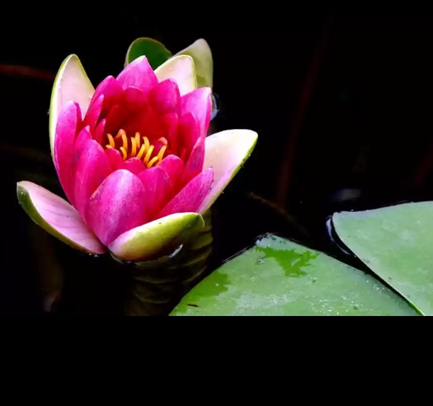 221707lqcd07bb4wq4aolb.png