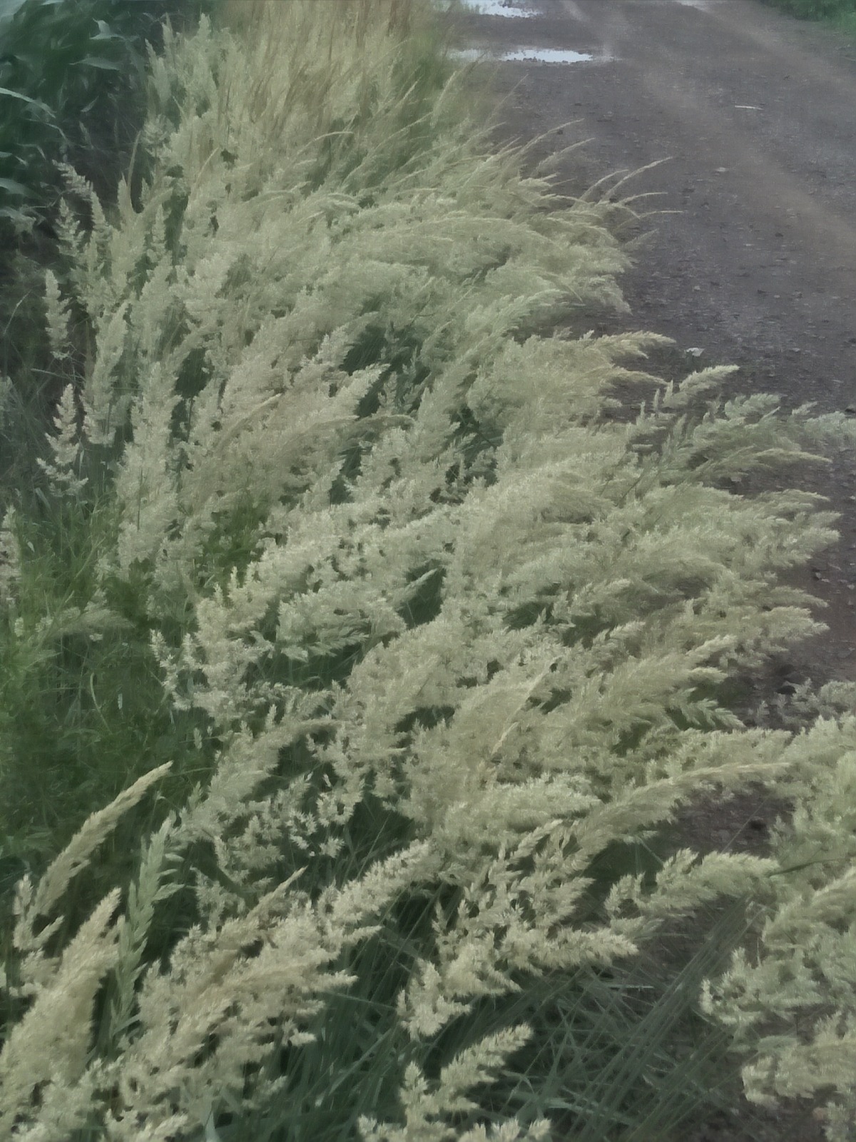 IMG20180709105412.jpg