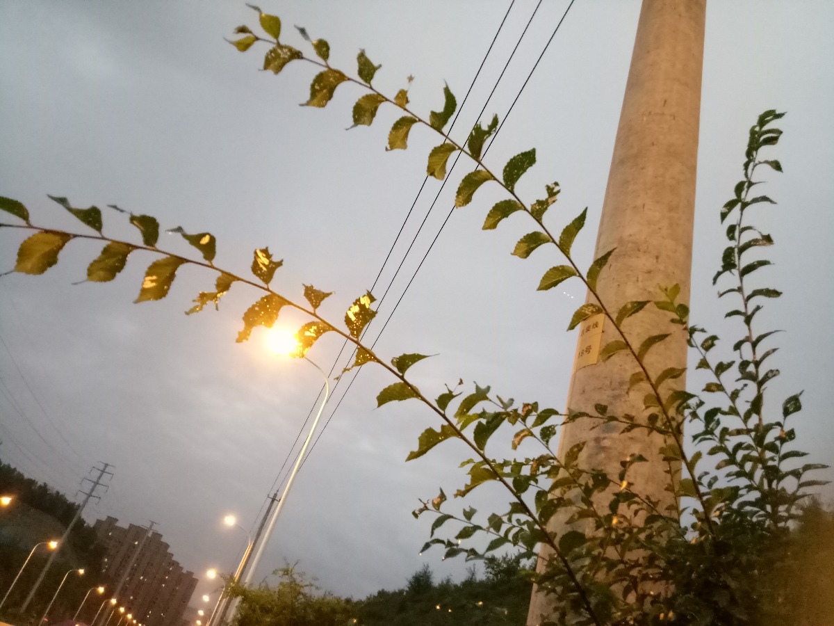IMG20180812185701.jpg